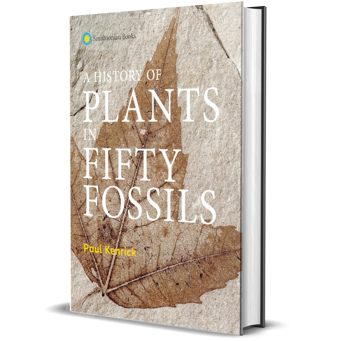 A History of Plants in Fifty Fossils