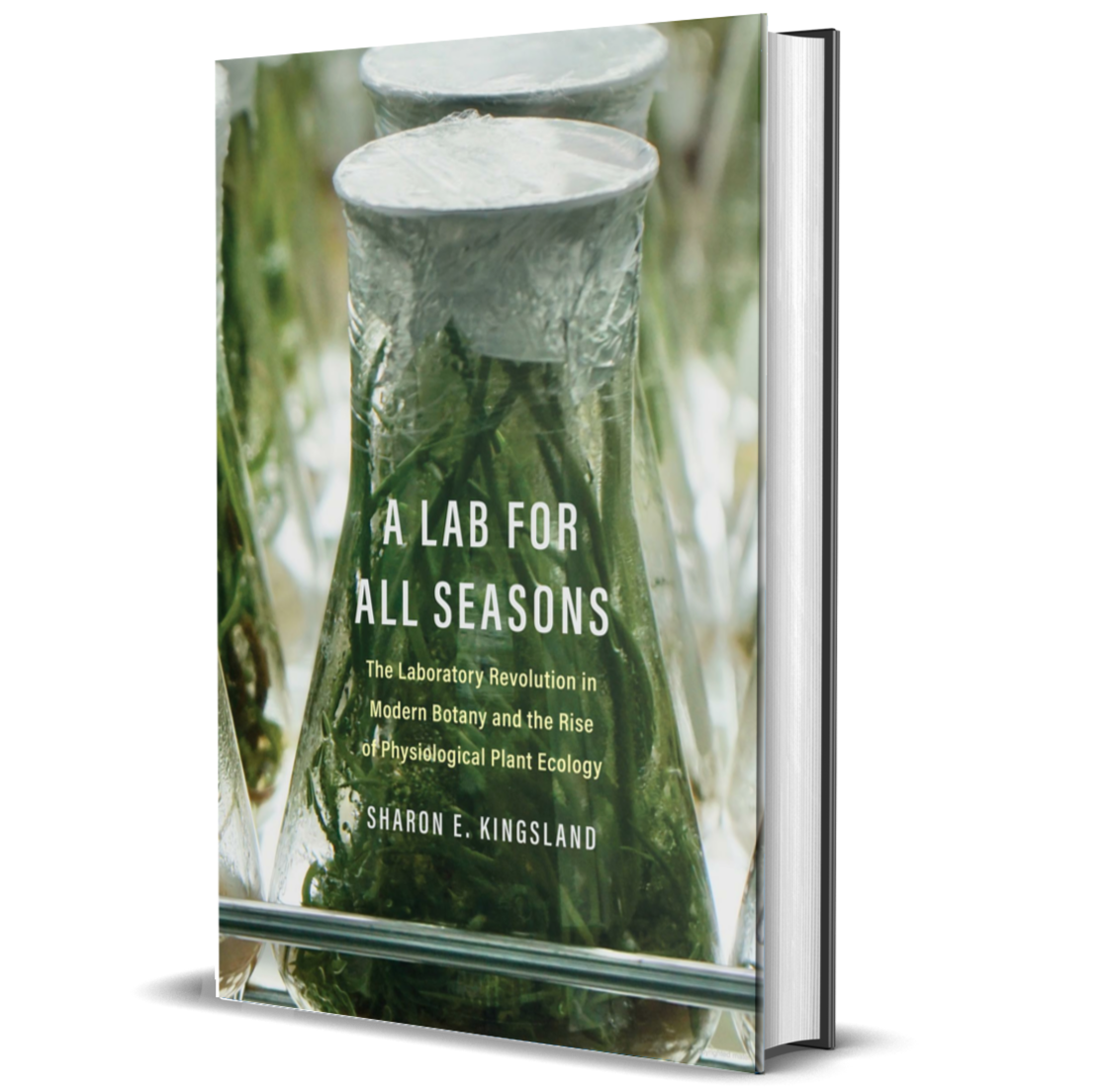 A Lab for All Seasonsa The Laboratory Revolution in Modern Botany and the Rise of Physiological Plant Ecology