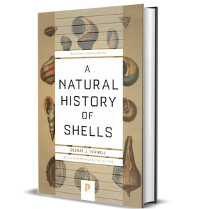 A Natural History of Shells
