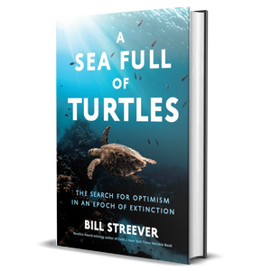 A Sea Full of Turtles: The Search for Optimism in An Epoch of Extinction