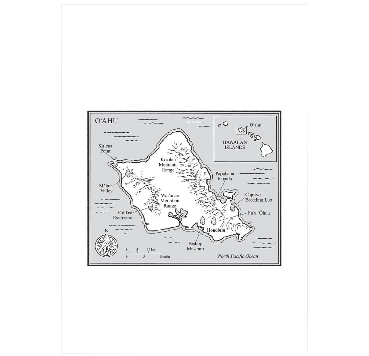 A World in a Shell: Snail Stories for a Time of Extinctions