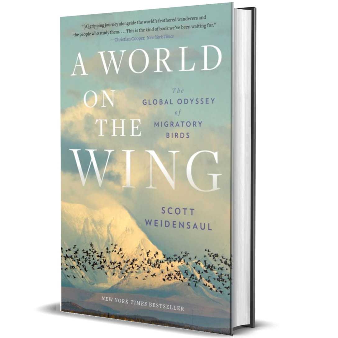 A World on the Wing: The Global Odyssey of Migratory Birds