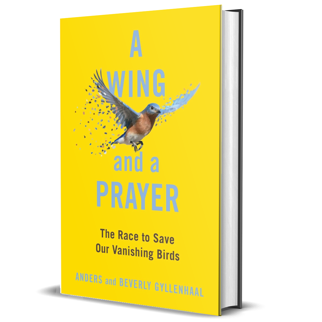 A World on the Wing: The Global Odyssey of Migratory Birds