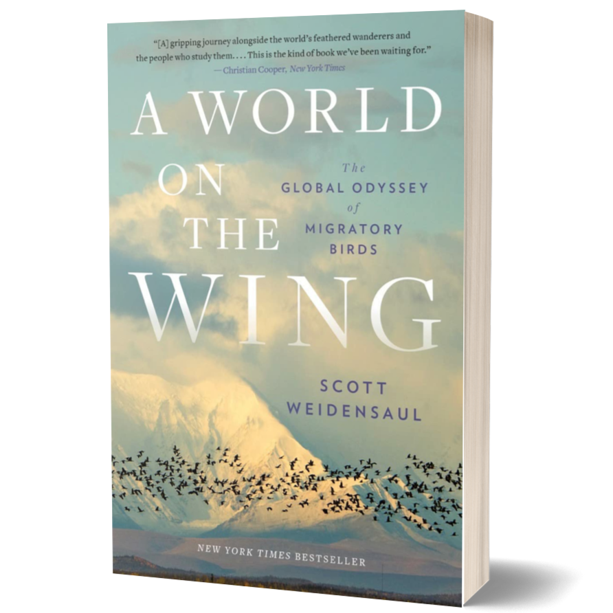 A World on the Wing: The Global Odyssey of Migratory Birds