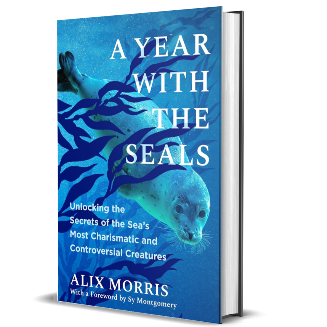 A Year with the Seals: Unlocking the Secrets of the Sea’s Most Charismatic and Controversial Creatures