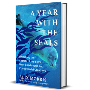 A Year with the Seals: Unlocking the Secrets of the Sea’s Most Charismatic and Controversial Creatures