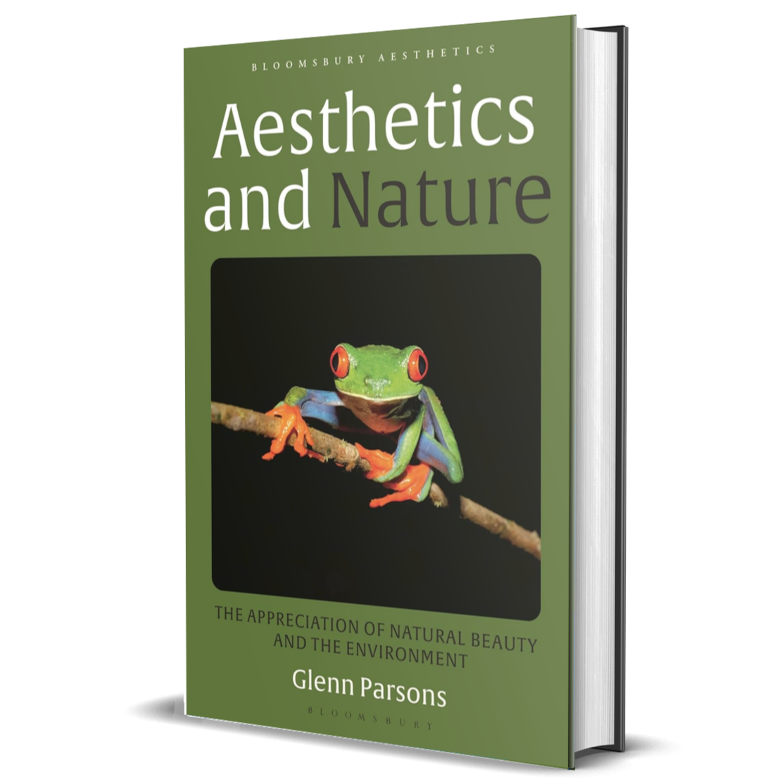 Aesthetics and Nature: The Appreciation of Natural Beauty and the Environment (Bloomsbury Aesthetics)