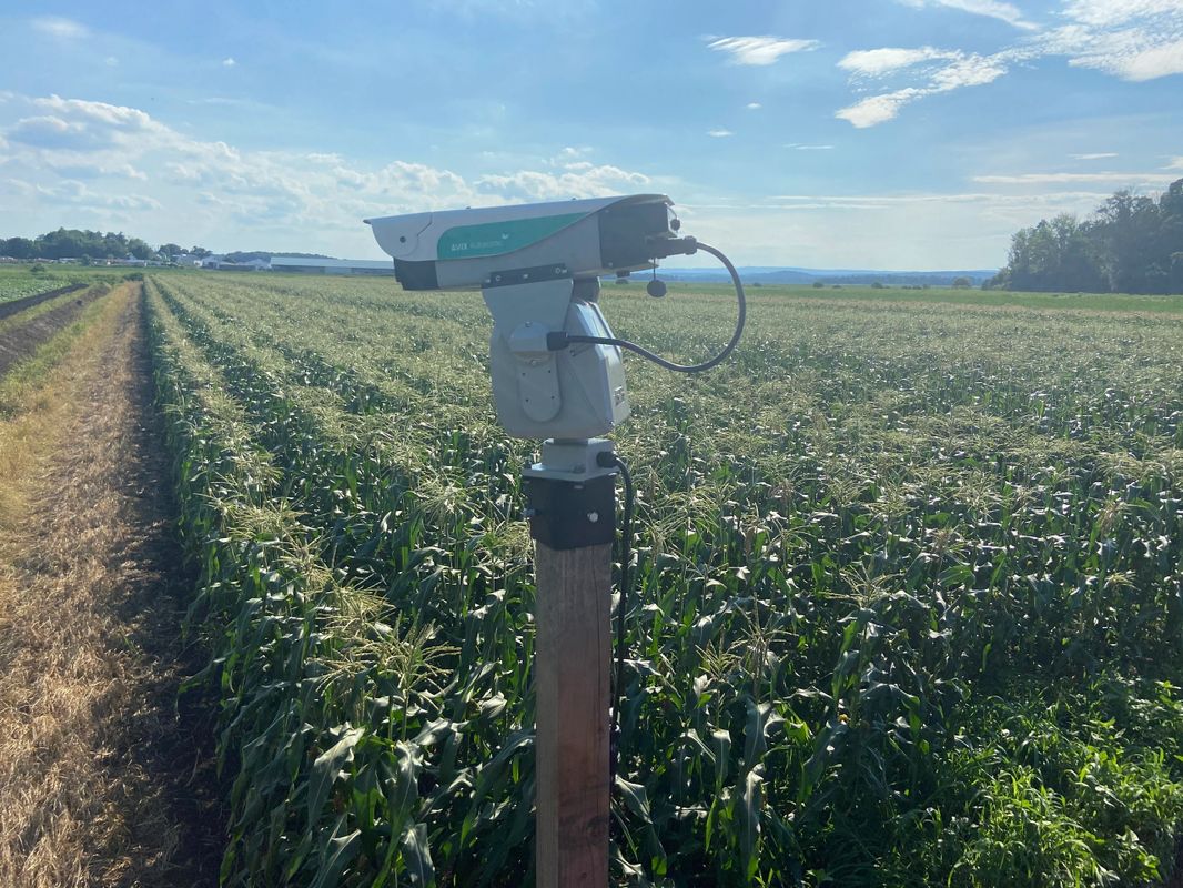 Agrilaser AVIX Autonomic Mark II: Sistema Automatizado de Repelente de Pássaros