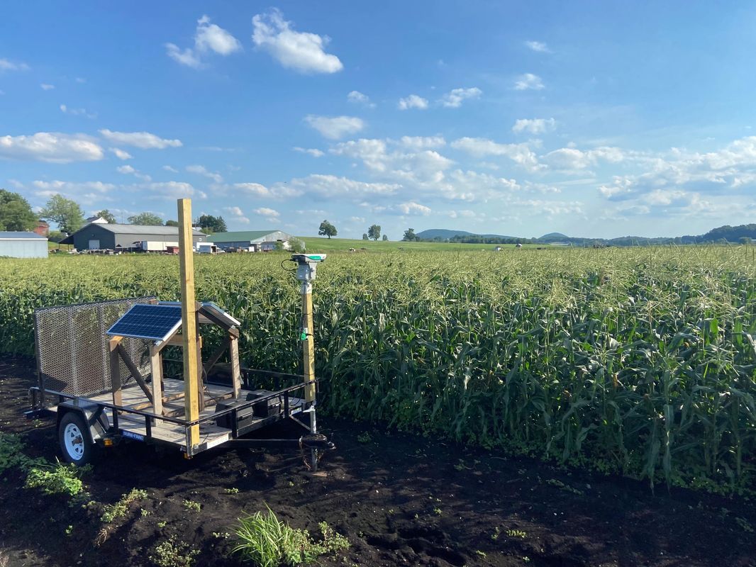 Agrilaser AVIX Autonomic Mark II: Sistema Automatizado de Repelente de Pássaros