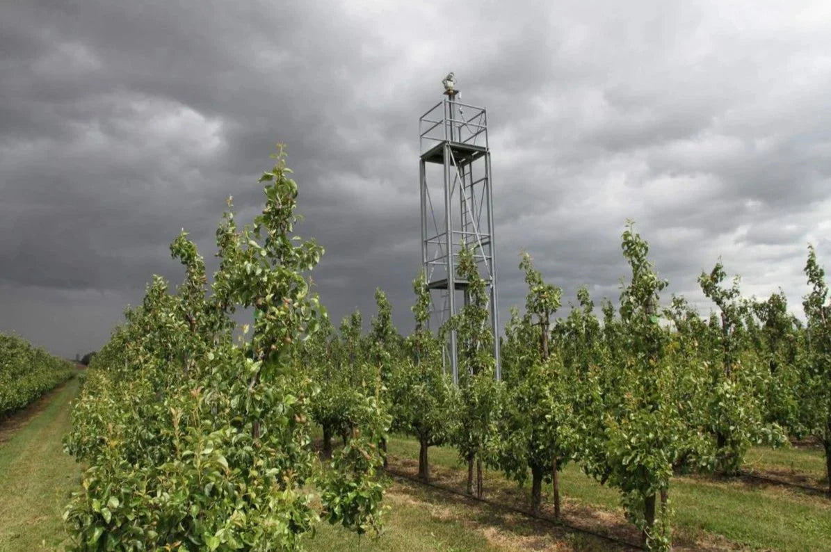 Agrilaser AVIX Autonomic Mark II: Sistema Automatizado de Repelente de Pássaros