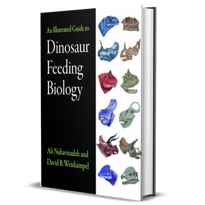 An Illustrated Guide to Dinosaur Feeding Biology