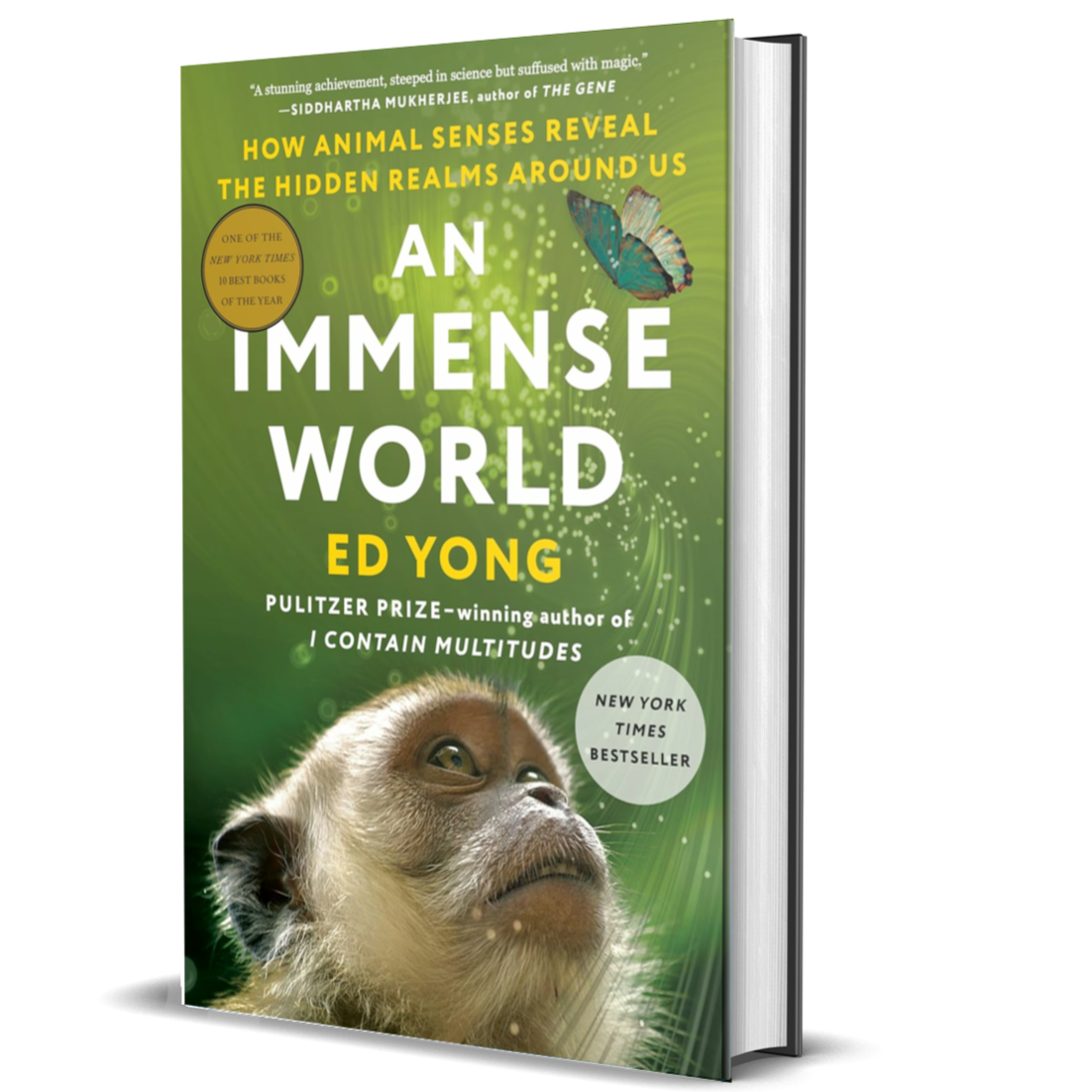 An Immense World: How Animal Senses Reveal the Hidden Realms Around Us