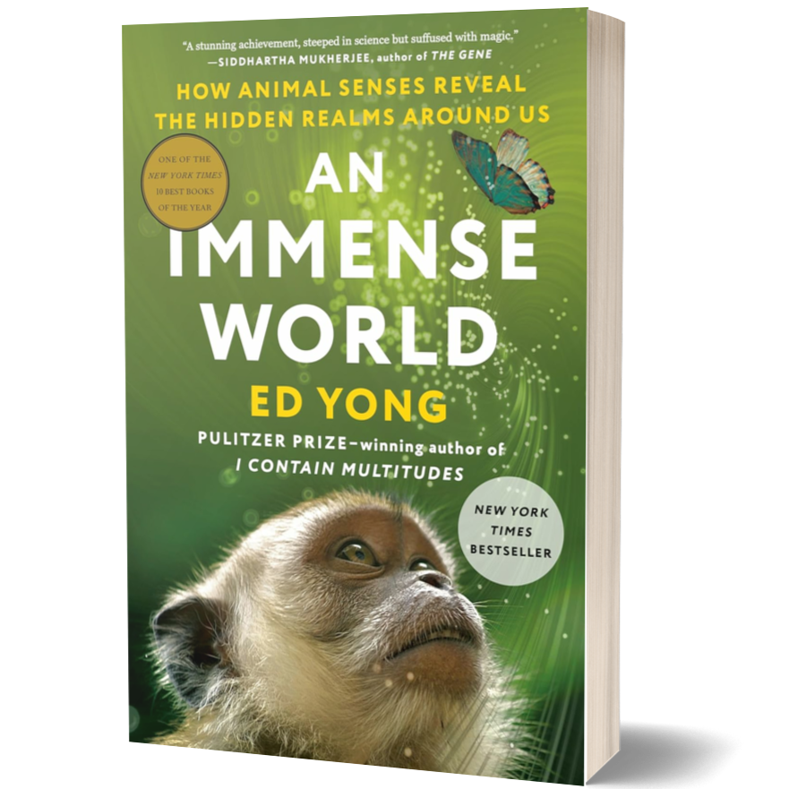 An Immense World: How Animal Senses Reveal the Hidden Realms Around Us