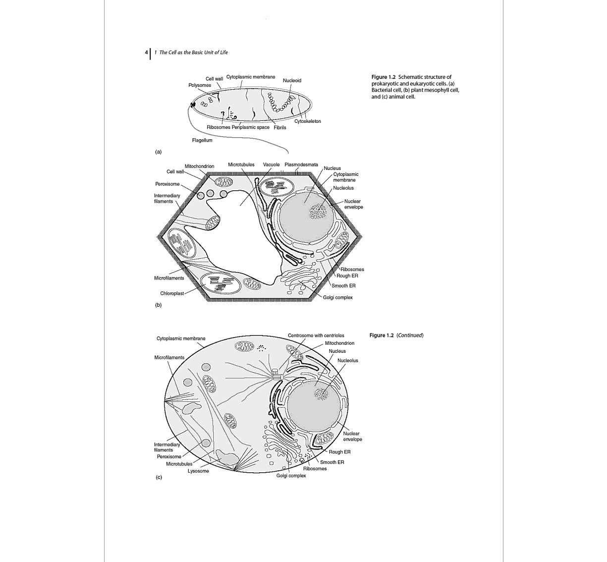 An Introduction to Molecular Biotechnology: Fundamentals, Methods and Applications, 3rd Edition