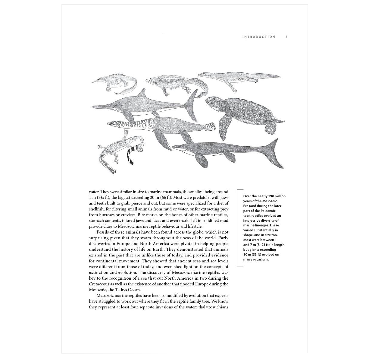 Ancient Sea Reptiles: Plesiosaurs, Ichthyosaurs, Mosasaurs, and More