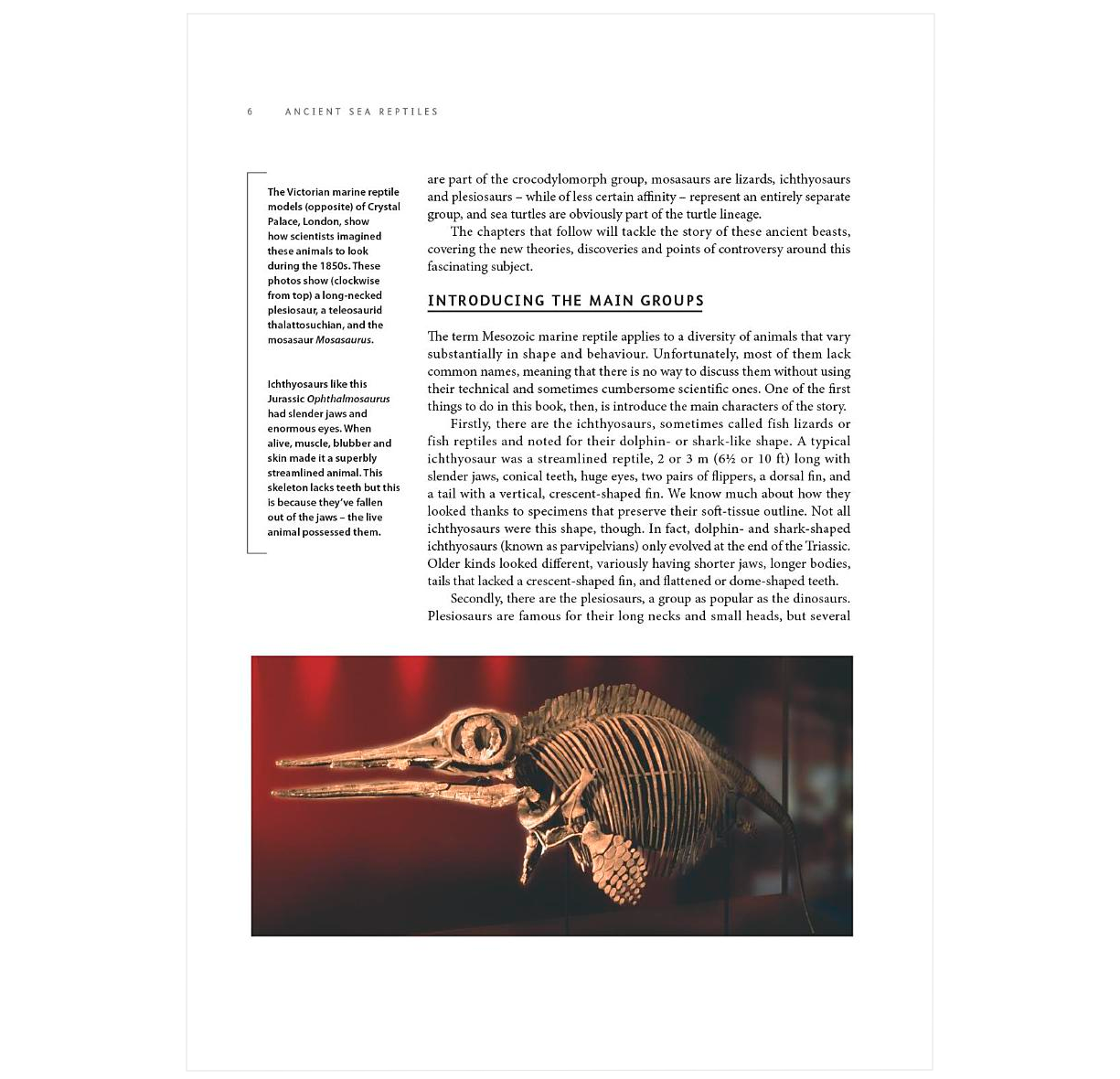 Ancient Sea Reptiles: Plesiosaurs, Ichthyosaurs, Mosasaurs, and More