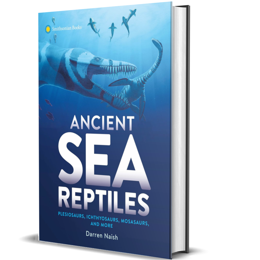 Ancient Sea Reptiles: Plesiosaurs, Ichthyosaurs, Mosasaurs, and More