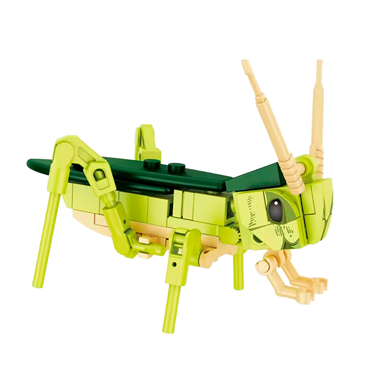 Animais Insetos Realistas de Blocos de Montar (+6)