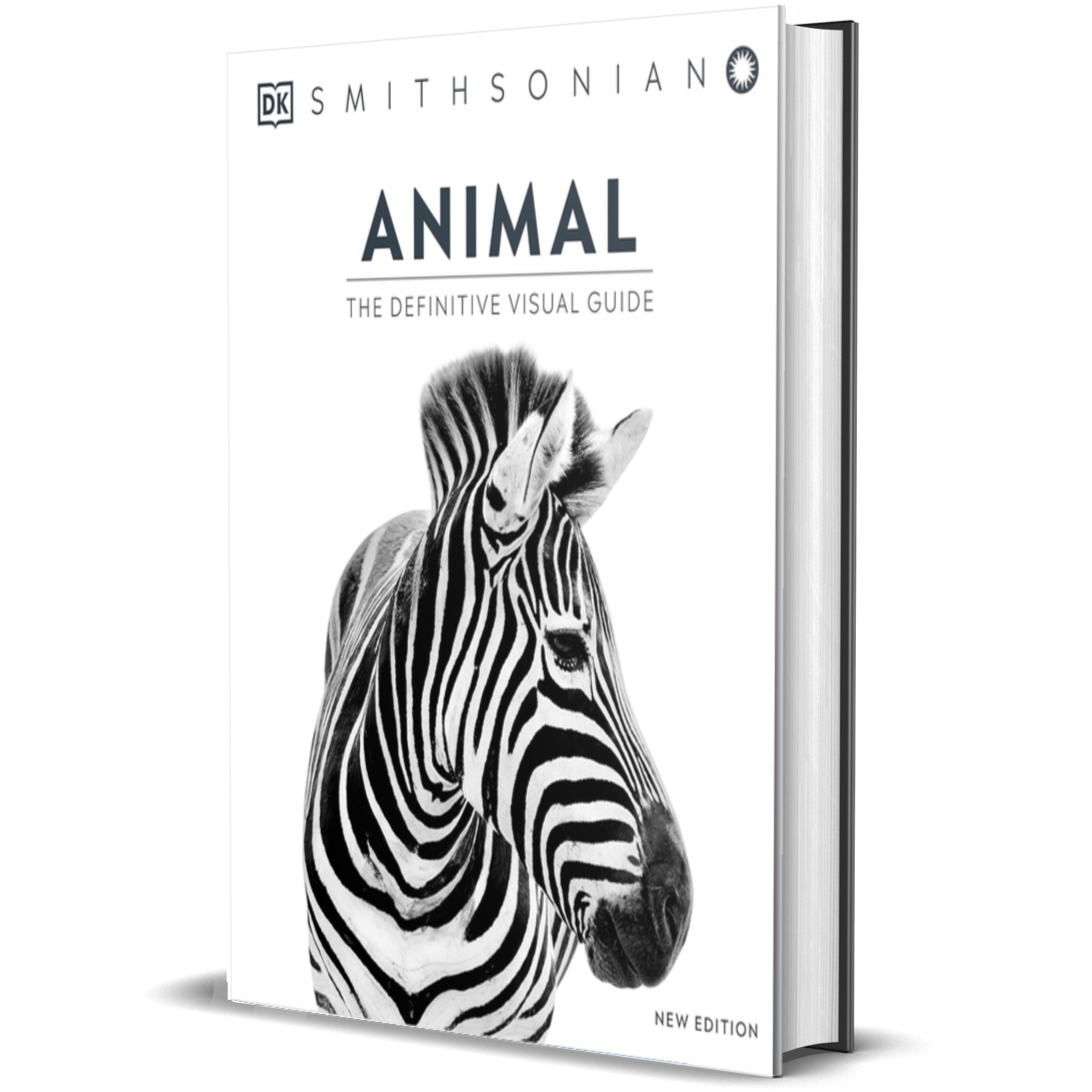 Animal: The Definitive Visual Guide (DK Definitive Visual Encyclopedias)