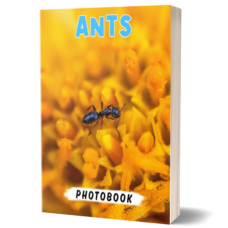 Ants Photo Book: Various Photography about Ants for Anyone Explored to Decor as Gifts with 40+ Pages High Quality Pictures for Relaxation