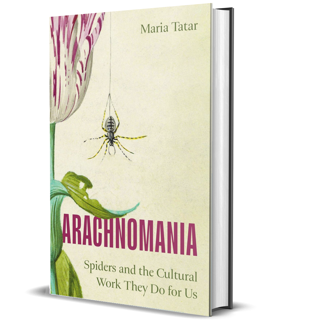 Arachnomania: Spiders and the Cultural Work They Do for Us