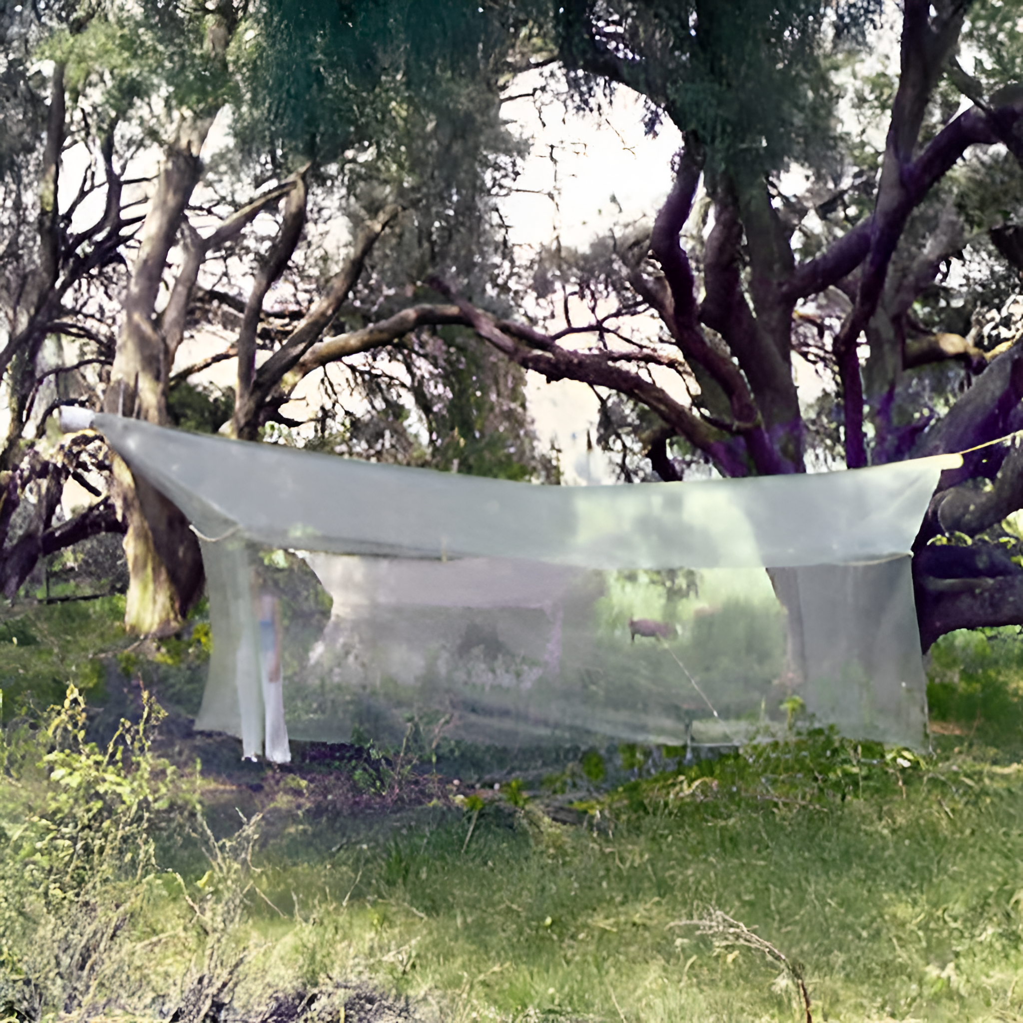 Armadilha Malaise Padrão de 6 Metros