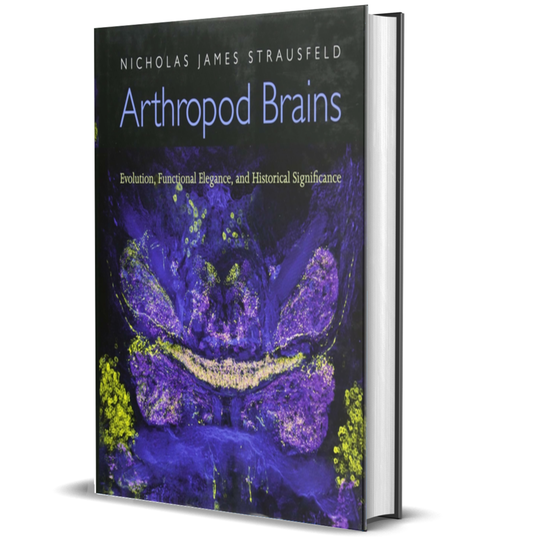 Arthropod Brains: Evolution, Functional Elegance, and Historical Significance