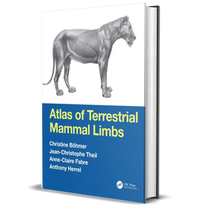 Atlas of Terrestrial Mammal Limbs