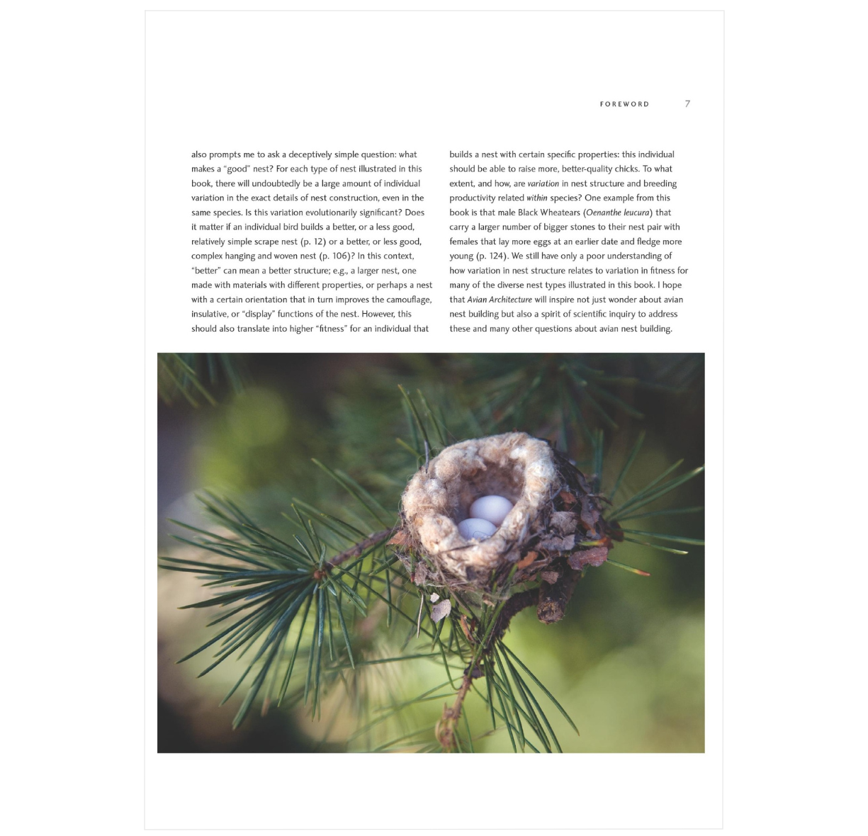 Avian Architecture Revised and Expanded Edition: How Birds Design, Engineer, and Build