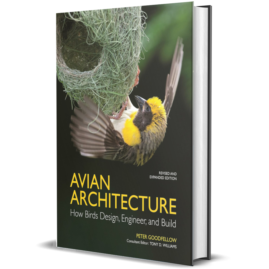 Avian Architecture Revised and Expanded Edition: How Birds Design, Engineer, and Build