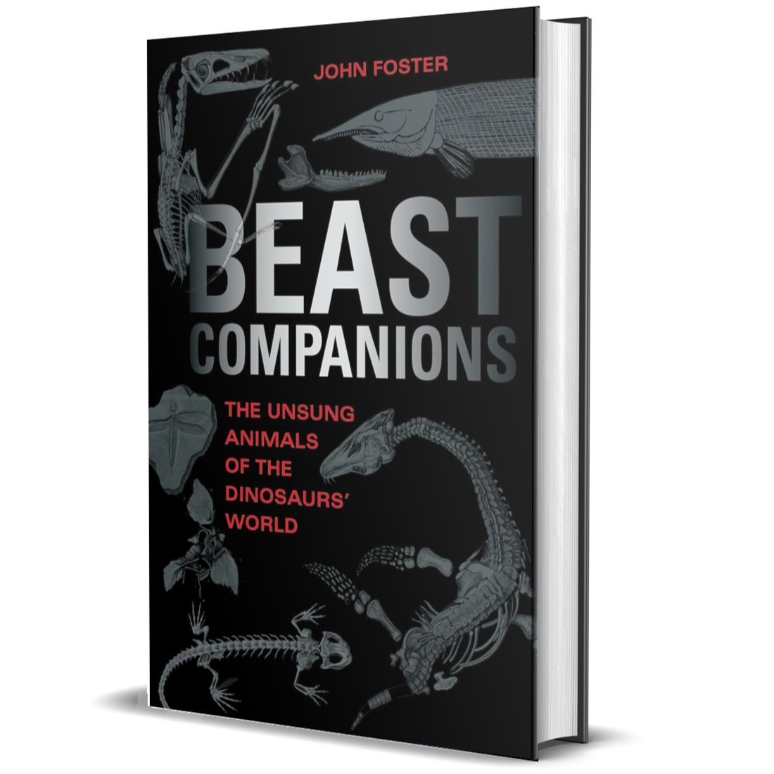 Beast Companions: The Unsung Animals of the Dinosaurs' World