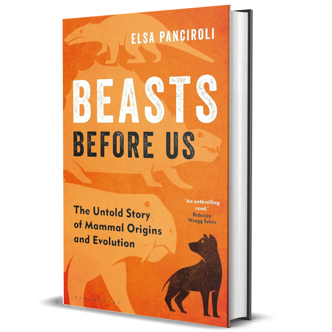 Beasts Before Us: The Untold Story of Mammal Origins and Evolution