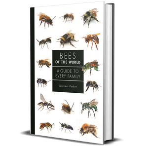 Bees of the World | A Guide to Every Family
