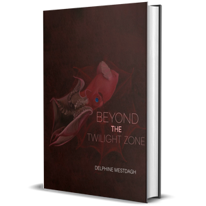 Beyond the Twilightzone