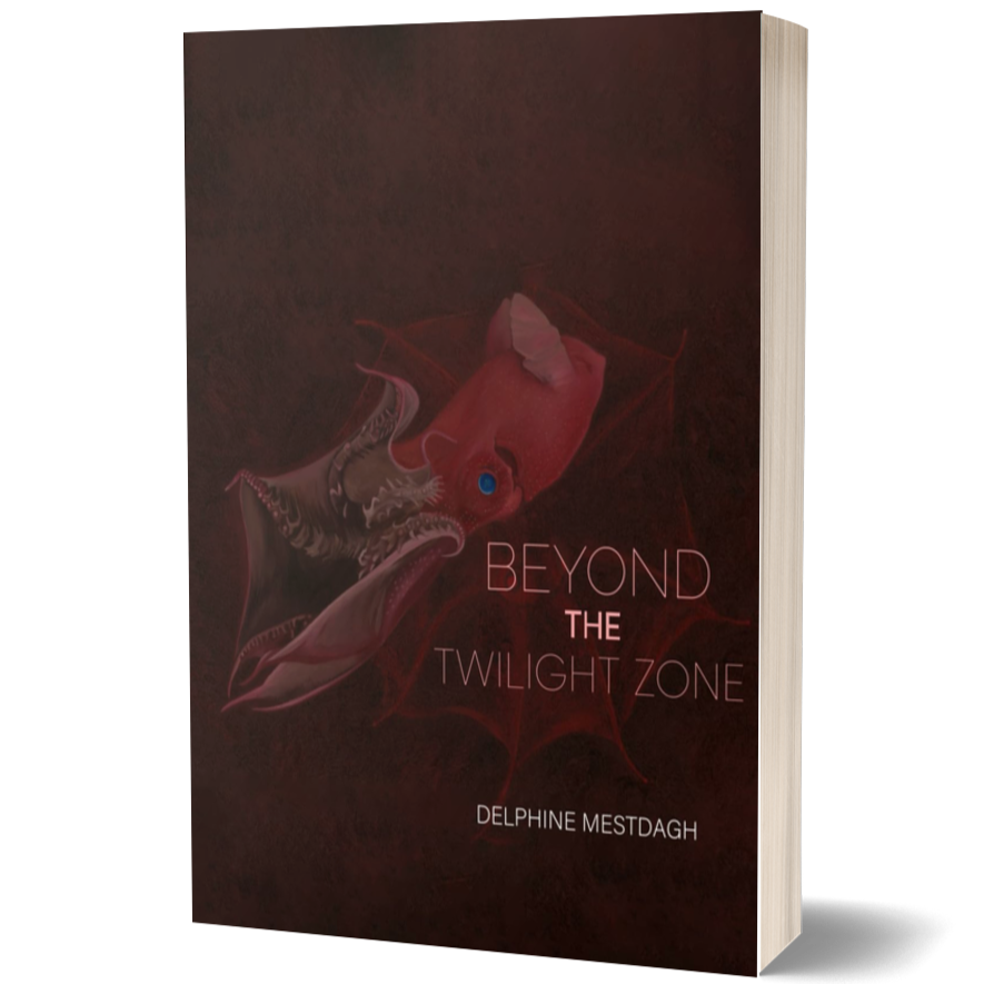 Beyond the Twilightzone