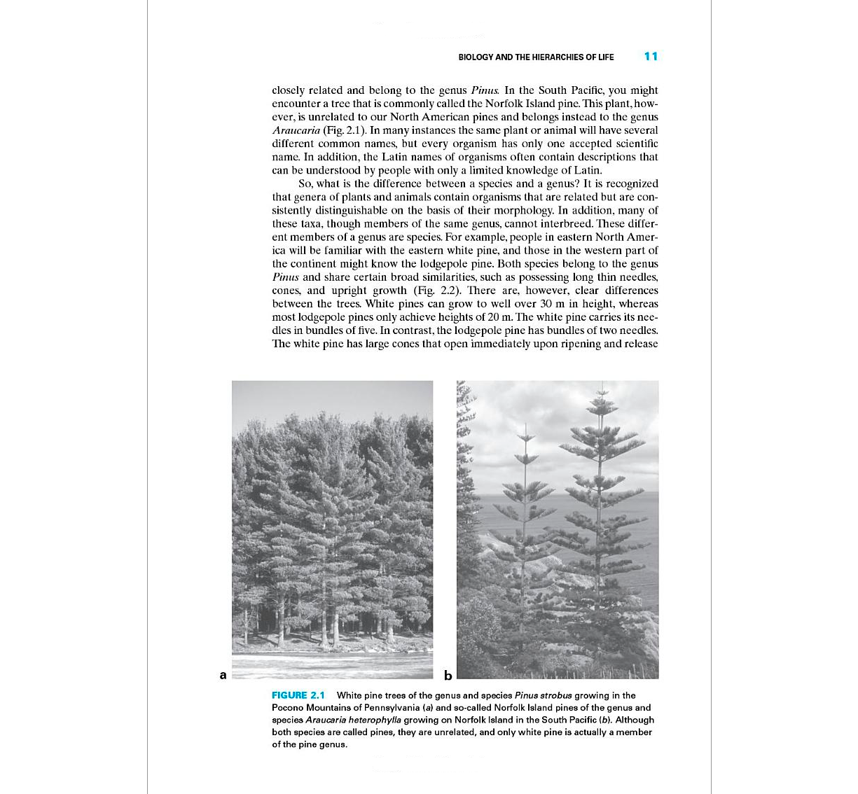 Biogeography: Introduction to Space, Time, and Life 1st Edition