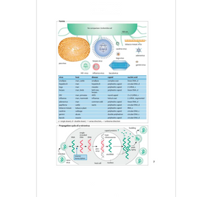 Biotechnology: An Illustrated Primer