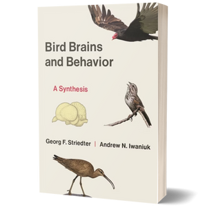 Bird Brains and Behavior: A Synthesis