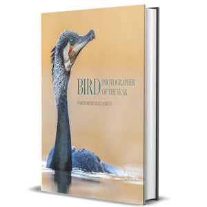 Bird Photographer of the Year: Collection 10 