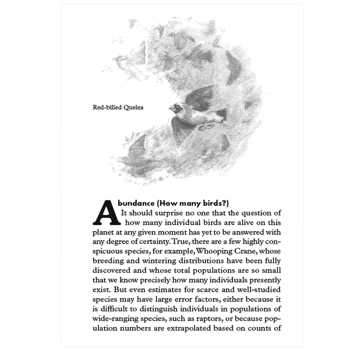 Birdpedia: A Brief Compendium of Avian Lore