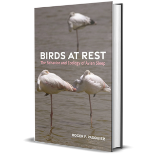 Birds at Rest: The Behavior and Ecology of Avian Sleep