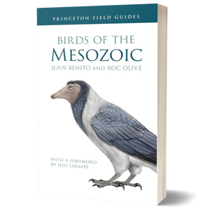 Birds of the Mesozoic