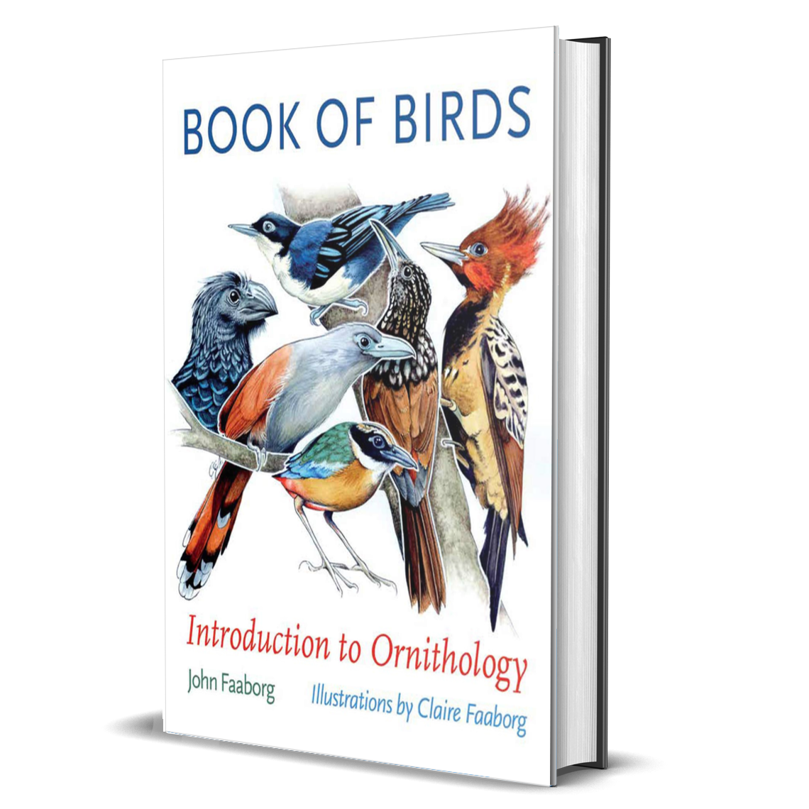 Book of Birds: Introduction to Ornithology (Gideon Lincecum Nature and Environment Series)