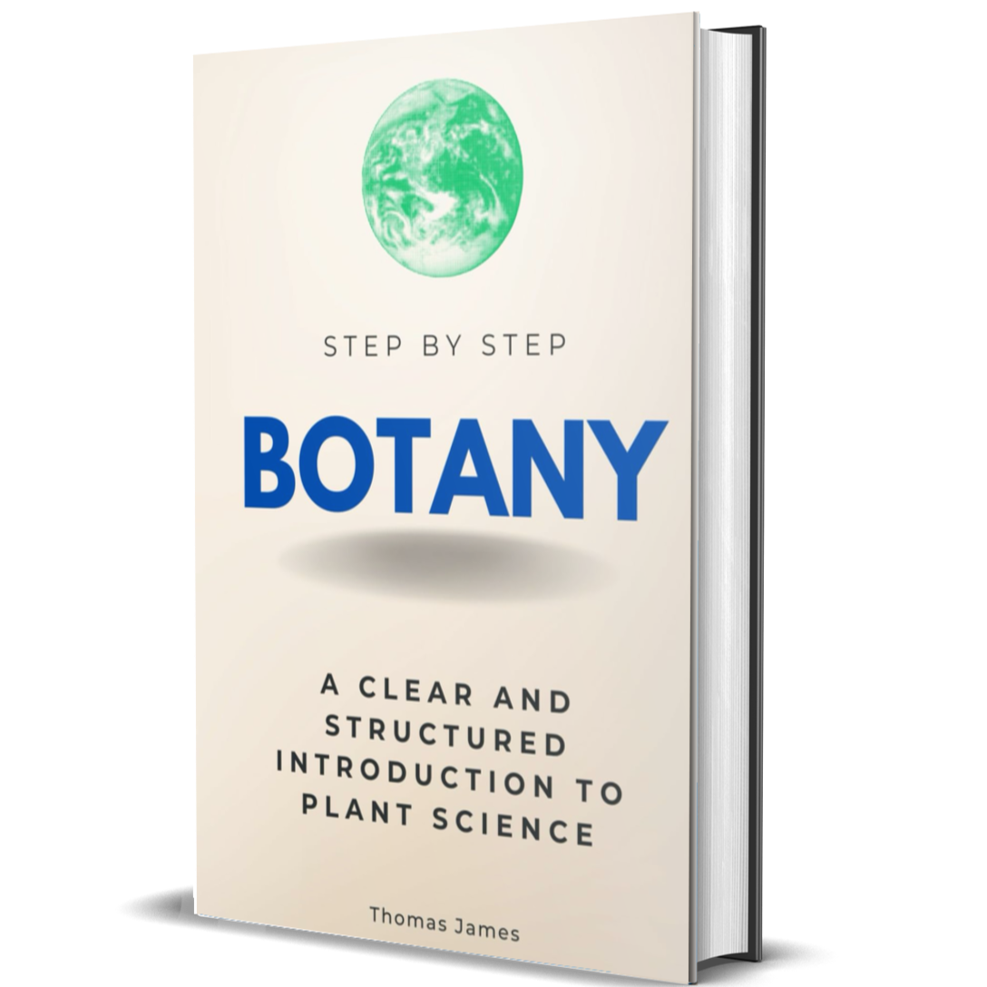 Botany Step by Step: A Clear and Structured Introduction to Plant Science