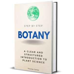 Botany Step by Step: A Clear and Structured Introduction to Plant Science