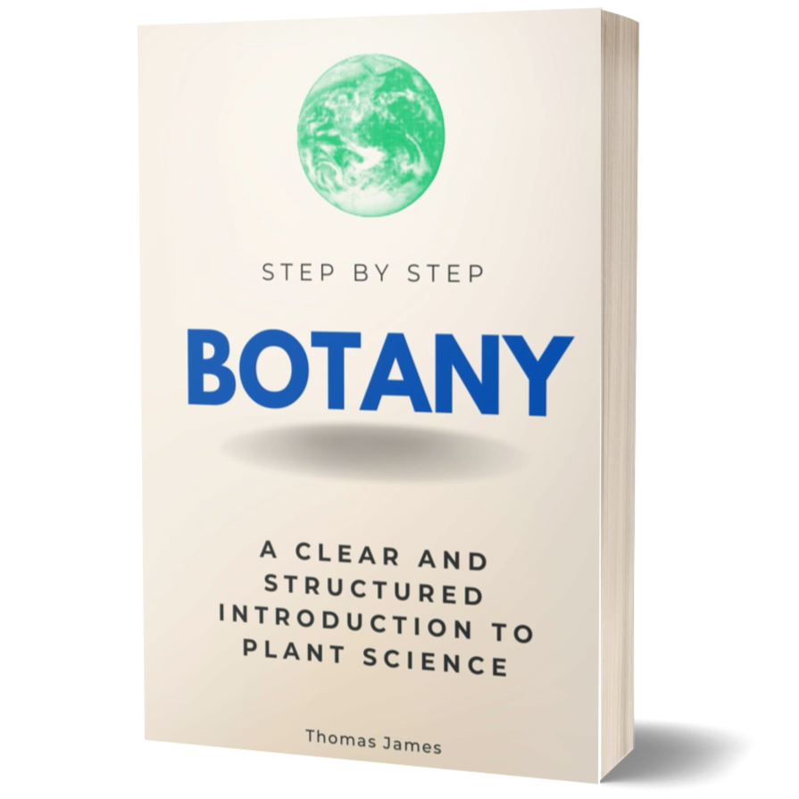 Botany Step by Step: A Clear and Structured Introduction to Plant Science