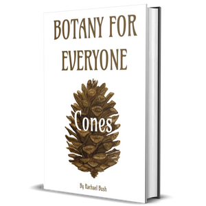 Botany for Everyone: Cones