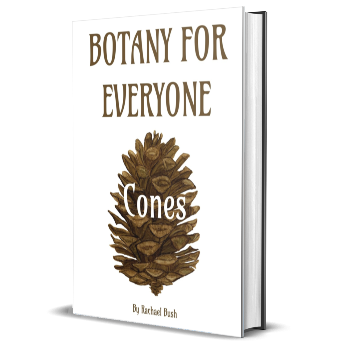 Botany for Everyone: Cones