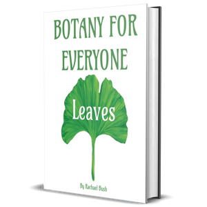 Botany for Everyone: Leaves