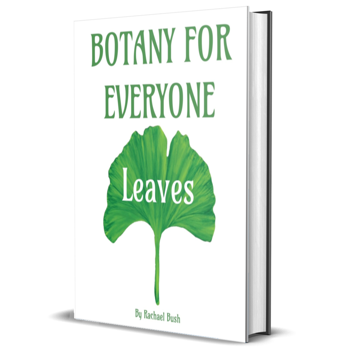 Botany for Everyone: Leaves